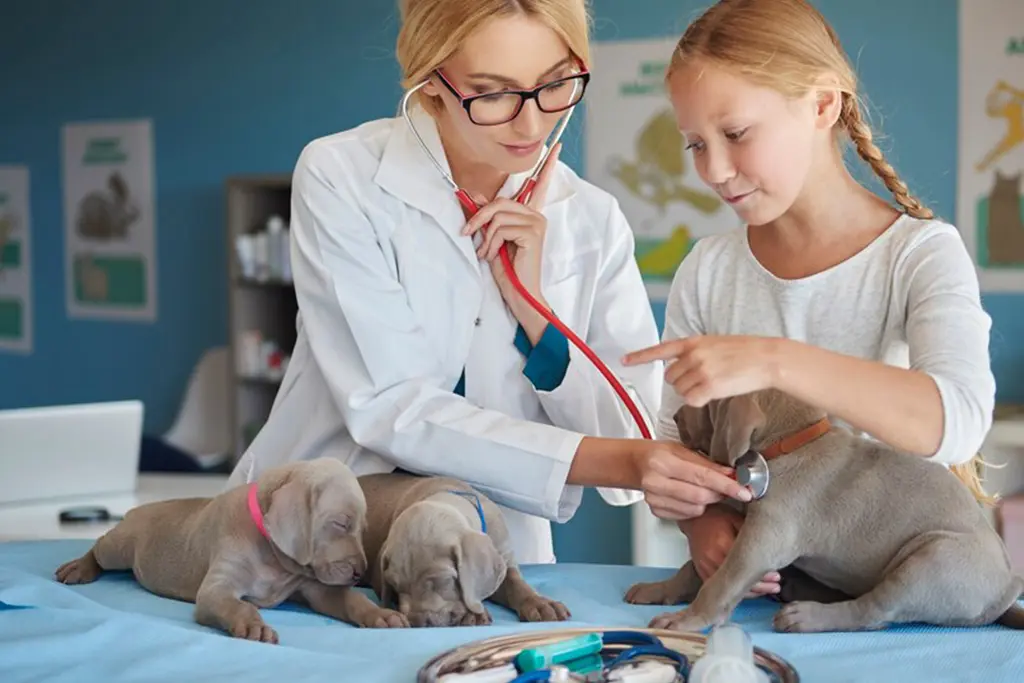 Pet Reproductive Health Services - Trusted Pet Care