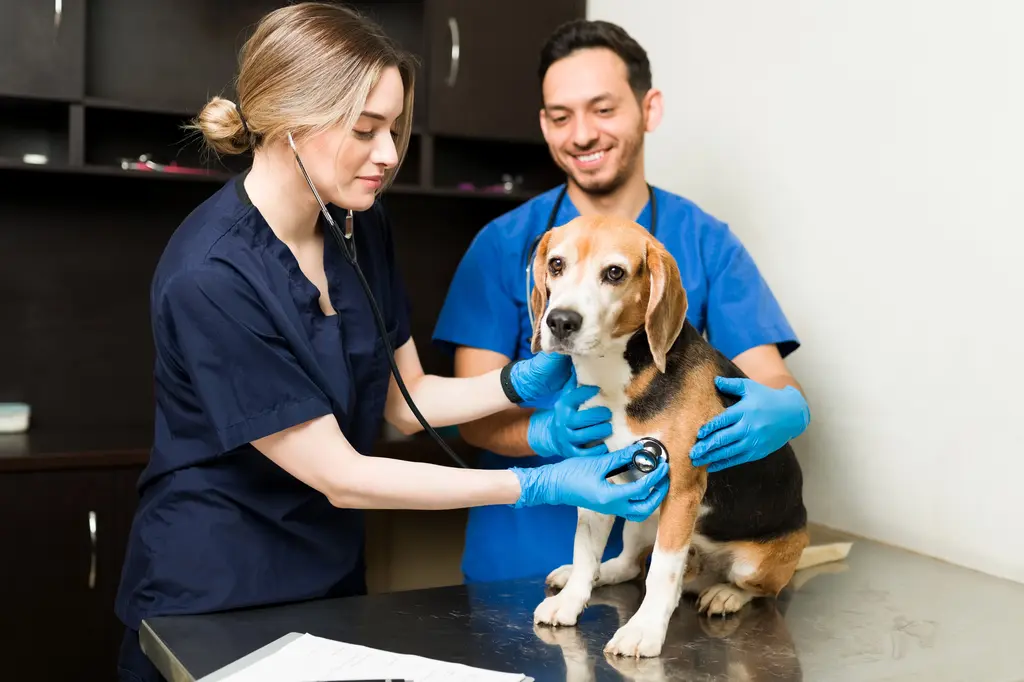 A welcoming veterinary team at our Brampton Animal Hospital.