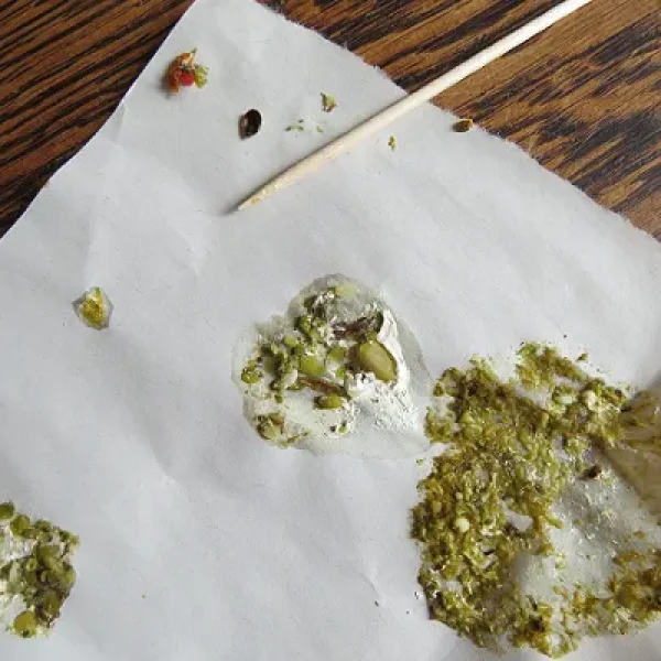 Abnormal Droppings in Birds