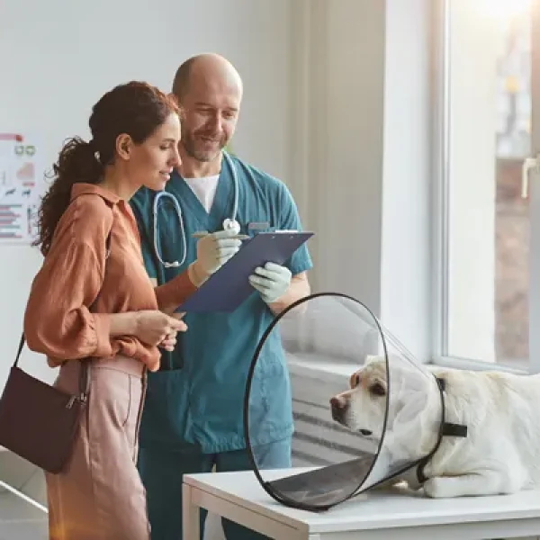 Acetaminophen Codeine