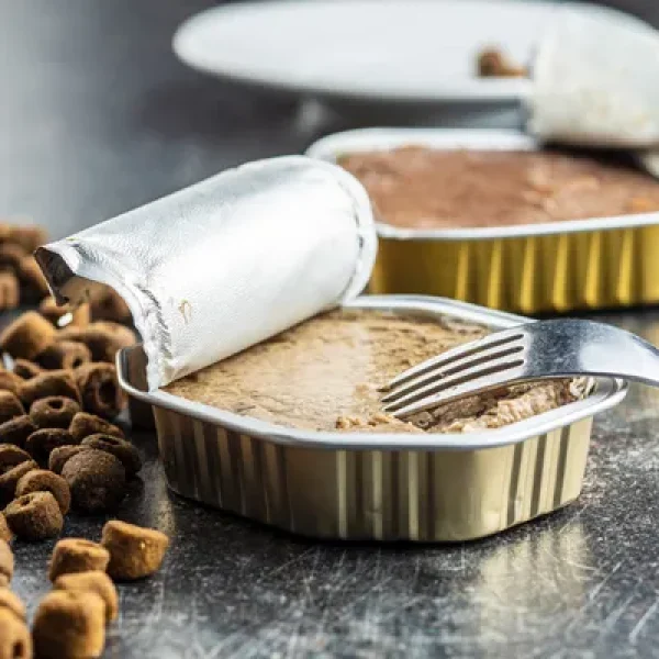 Alternative Diets Does My Cat Require a Special Food