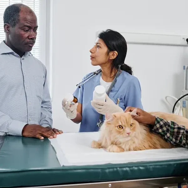 Behavior Counseling Medications