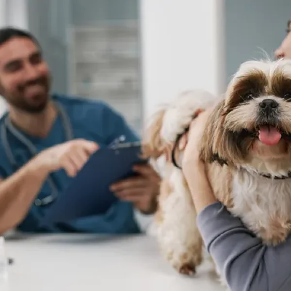 Bone Marrow Collection and Examination