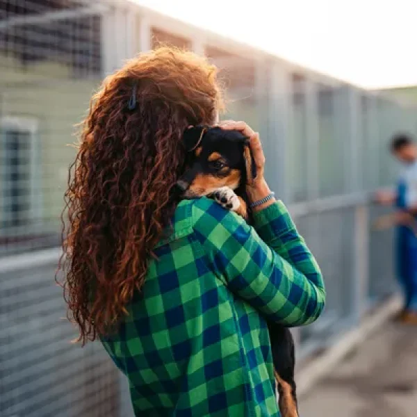 Breeding for Pet Owners The Pros and Cons of Breeding Dogs