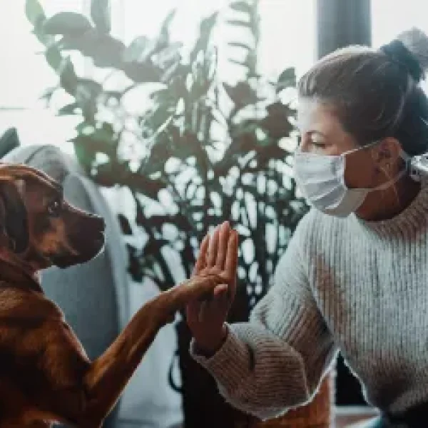 Curbside Veterinary Care2 Benefits for You and Your Pet