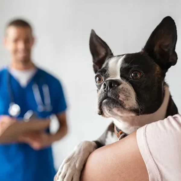 Dexamethasone Suppression Tests