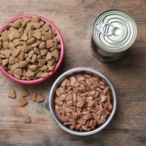 Dry, Canned, or Semi-Moist Food Choices for Dogs