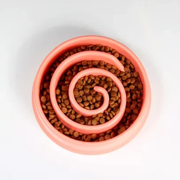 Enriching Your Pet's Environment with Their Food