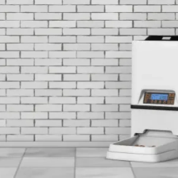 Feeding a Dog Who is a Glutton