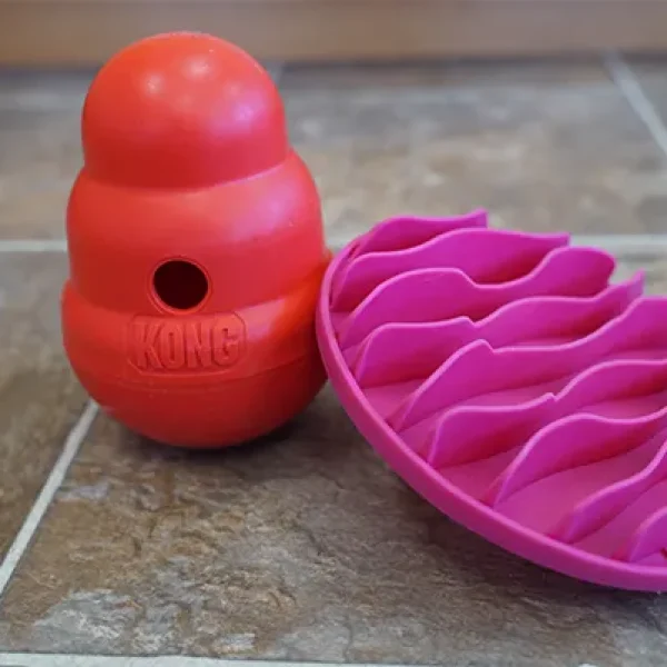 Feeding the Mind and Body Interactive Feeders for Dogs and Cats