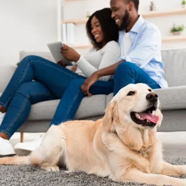 Genetic (DNA) Testing