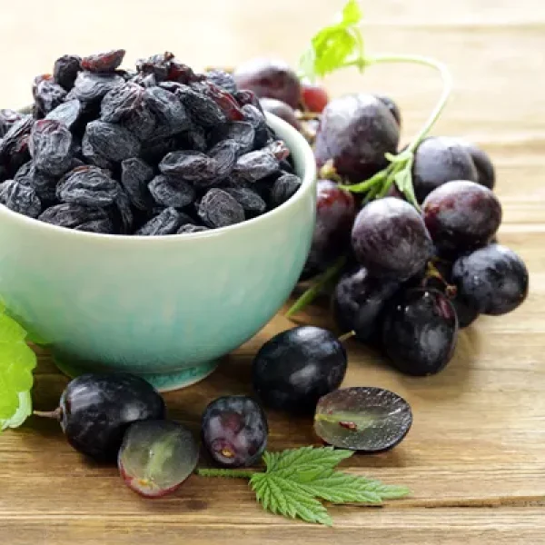 Grape, Raisin, and Currant Poisoning in Dogs