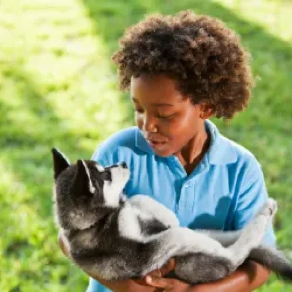 How to Choose a Good Dog Breeder