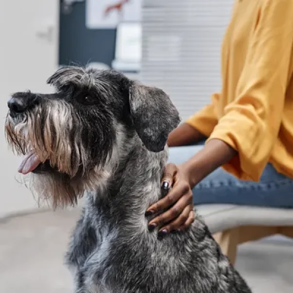 Hypochlorous Acid (HOCl) Topical