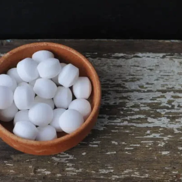 Mothball Poisoning in Cats