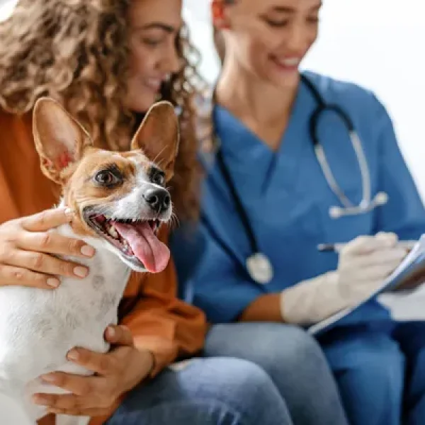 NSAIDs (Nonsteroidal Anti-Inflammatory Drugs)