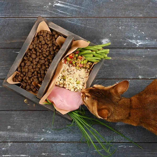 Nutrition - Pros and Cons of Home-Prepared Diets for Cats and Dogs