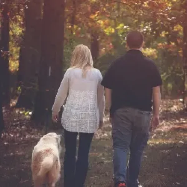 Off-Leash Training for Dogs