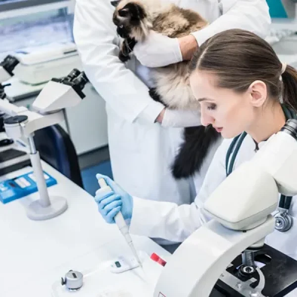 Pre-surgical Preparation and Testing