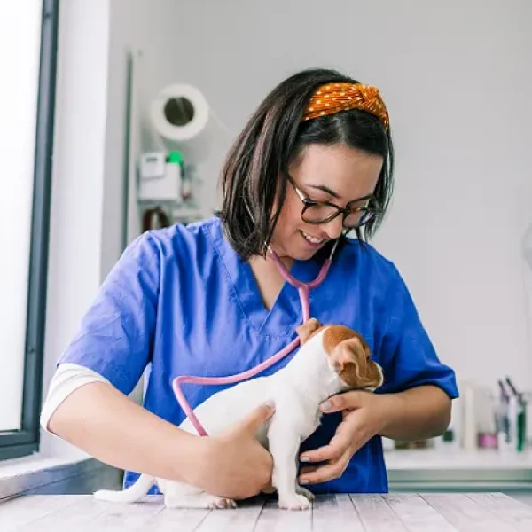 Puppy Behavior and Training Handling Exercises