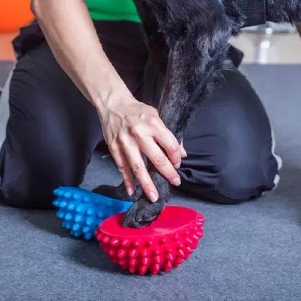 Rehabilitation Modalities