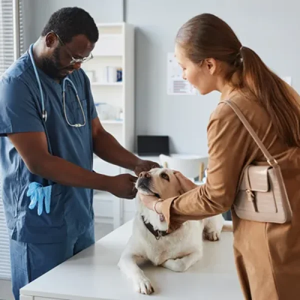 Salivary Gland Tumors