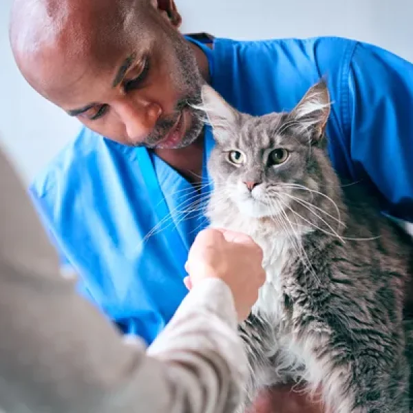 Silver Sulfadiazine Topical