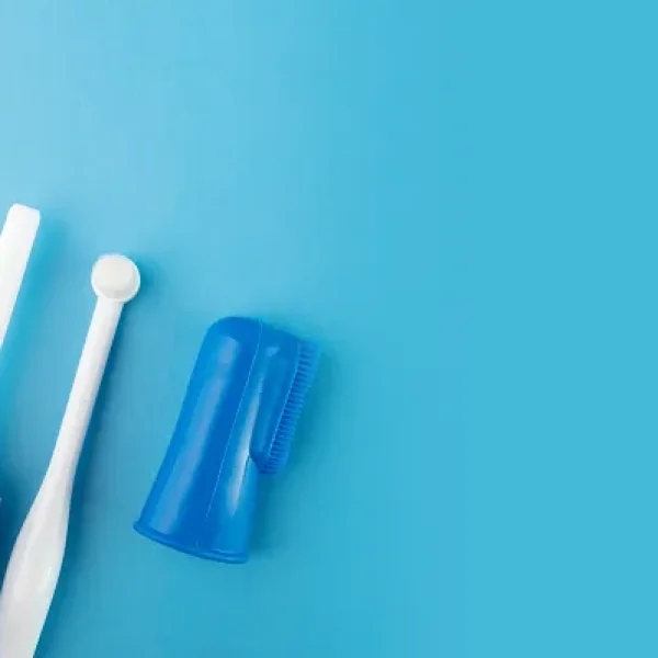 Successful Toothbrushing Training for Happy Dental Care