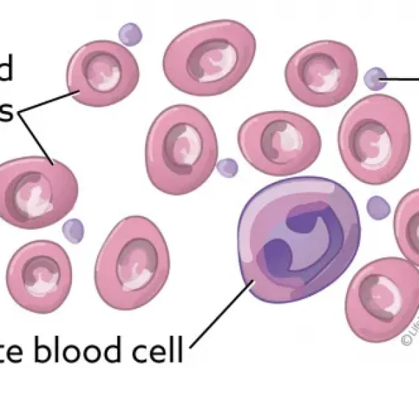 Testing for Unexplained Bleeding