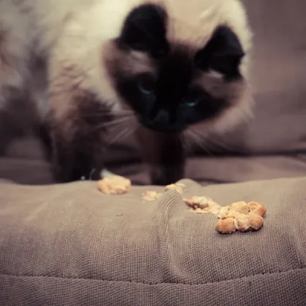 Testing for Vomiting