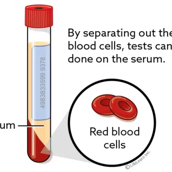Testing for Weight Loss in Dogs