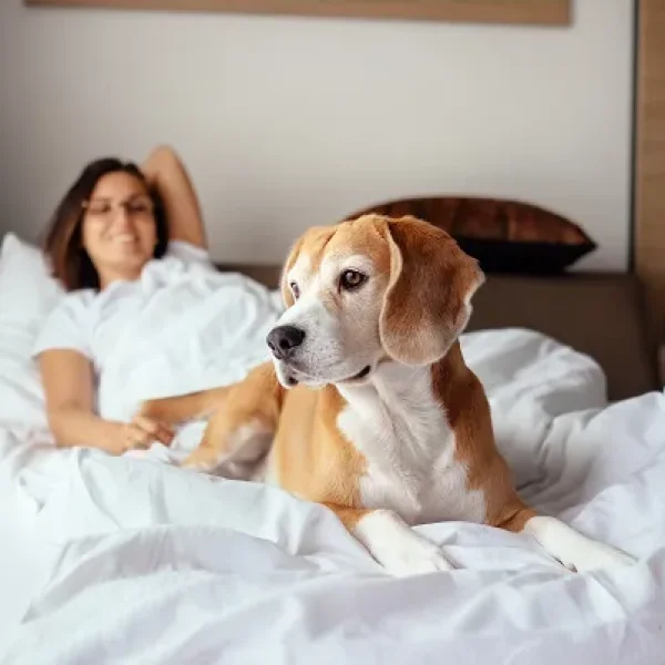 Traveling With Your Pet Pet-Friendly Hotels