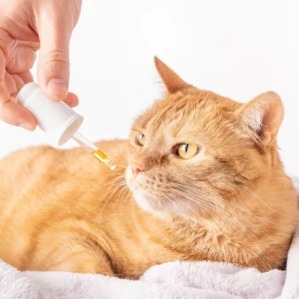 Veterinary Homeopathy