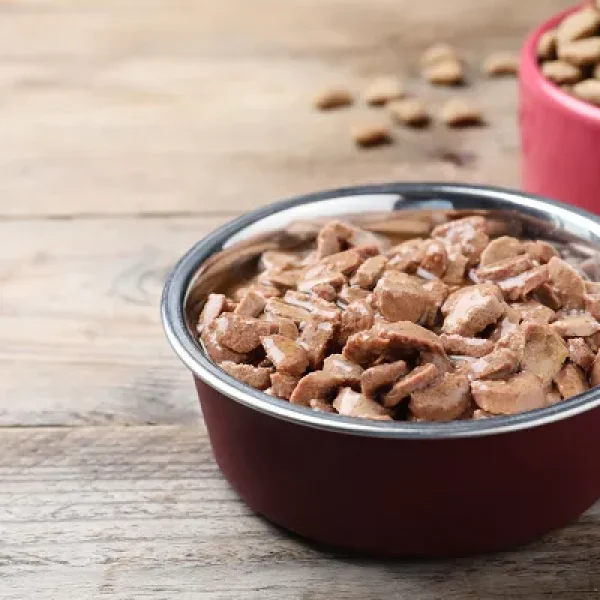 What Makes a Diet Palatable