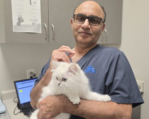 WhatsApp Image 2024-09-21 at 03.53.49