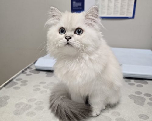 WhatsApp Image 2024-09-21 at 03.54.39