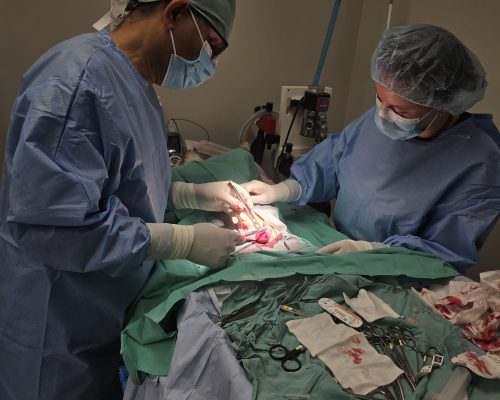 WhatsApp Image 2024-09-21 at 03.54.41 (1)