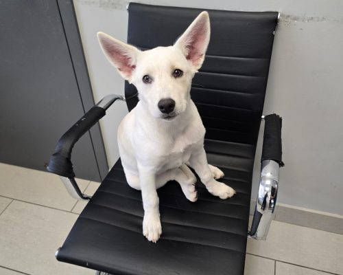 WhatsApp Image 2024-09-21 at 20.44.01 (1)