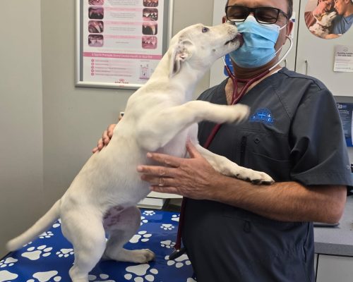 WhatsApp Image 2024-09-21 at 20.44.02 (1)