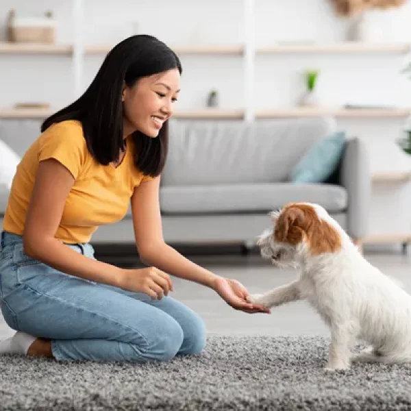 Why Punishment Should be Avoided