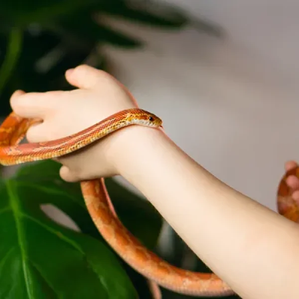 download - 2024-10-14T154214.326