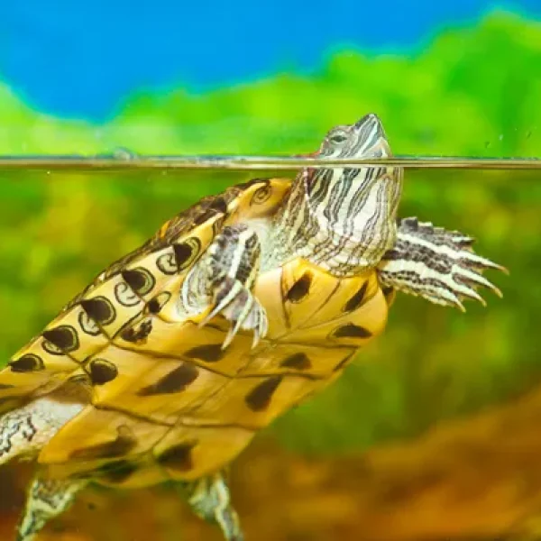 download - 2024-10-14T154454.553