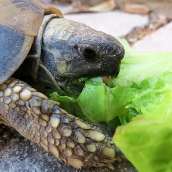 download - 2024-10-14T154558.657