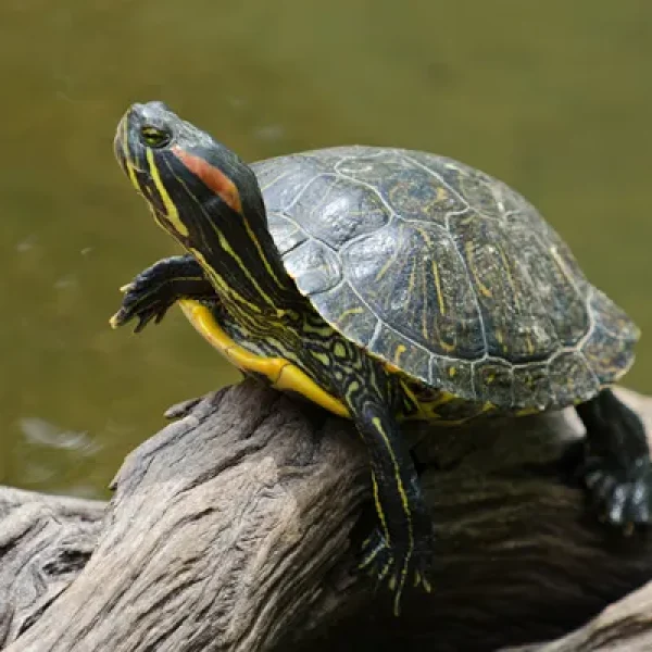 download - 2024-10-14T154911.905