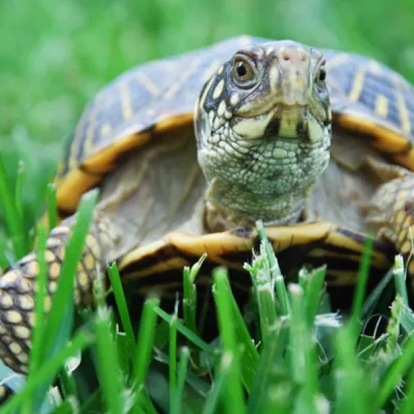 download - 2024-10-14T154926.358