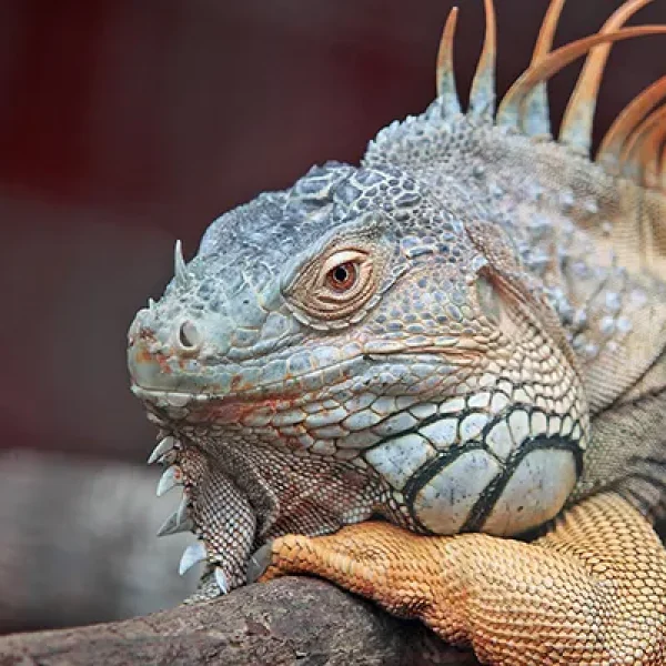 download - 2024-10-14T162340.468