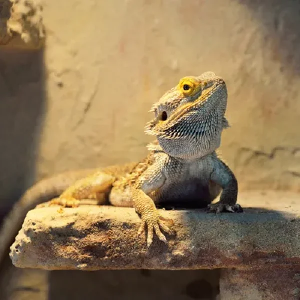 download - 2024-10-14T162633.321