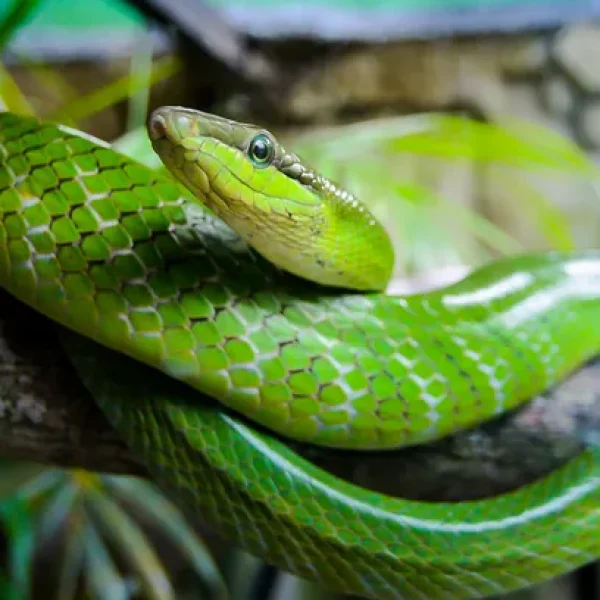 download - 2024-10-14T163545.530