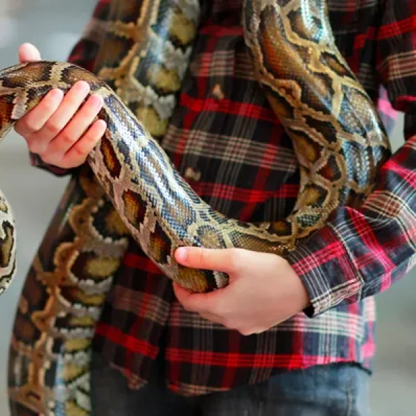 download - 2024-10-14T164225.625