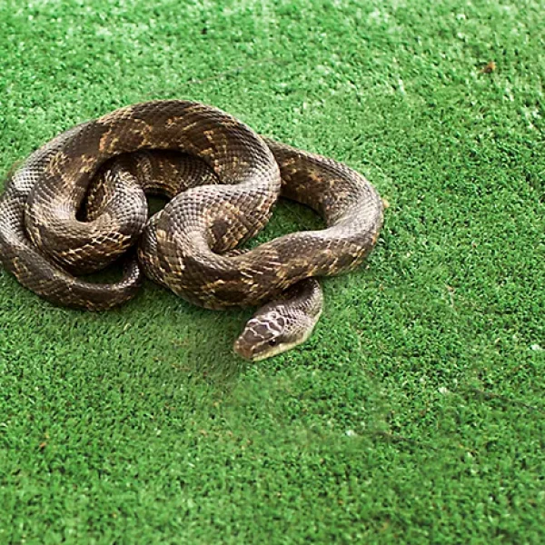 download - 2024-10-14T164358.628